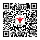 99886资料大全